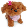 0747 INTERAKTYWNY PIESEK CHI CHI LOVE PUDELEK