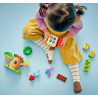 10431 KLOCKI LEGO DUPLO ŚWINKA PEPPA OGRÓD I DOMEK NA DRZEWIE