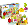 10983 KLOCKI LEGO DUPLO RYNECZEK BIO