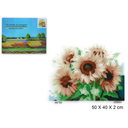 7650 MALOWANIE PO NUMERACH 50x40cm OBRAZ + FARBKI