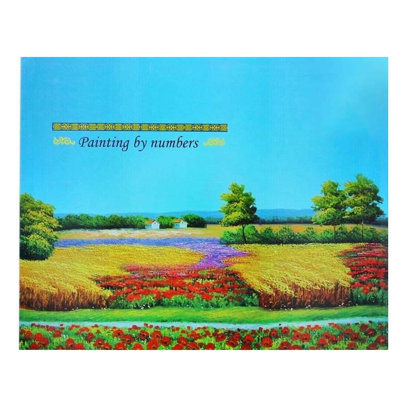 7742 MALOWANIE PO NUMERACH 50x40cm OBRAZ + FARBKI