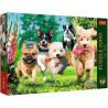 8002 PUZZLE PREMIUM PLUS QUALITY 1000 EL TEA TIME: NADCHODZĄ KŁOPOTY! 