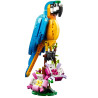 31136 KLOCKI LEGO CREATOR 3w1 EGZOTYCZNA PAPUGA 