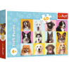 3741 Trefl puzzle 60 elementów Słodkie psiaki pieski 