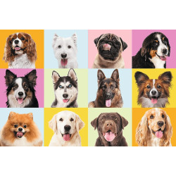 3741 Trefl puzzle 60 elementów Słodkie psiaki pieski 