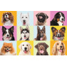 3741 Trefl puzzle 60 elementów Słodkie psiaki pieski 