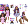 3297 Barbie Dream Besties lalka Brooklyn z akcesoriami Wyszykuj się ze mną
