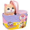1440 Little Live Pets Mama Surprise Kotki Odkryj magiczny świat kociej rodziny